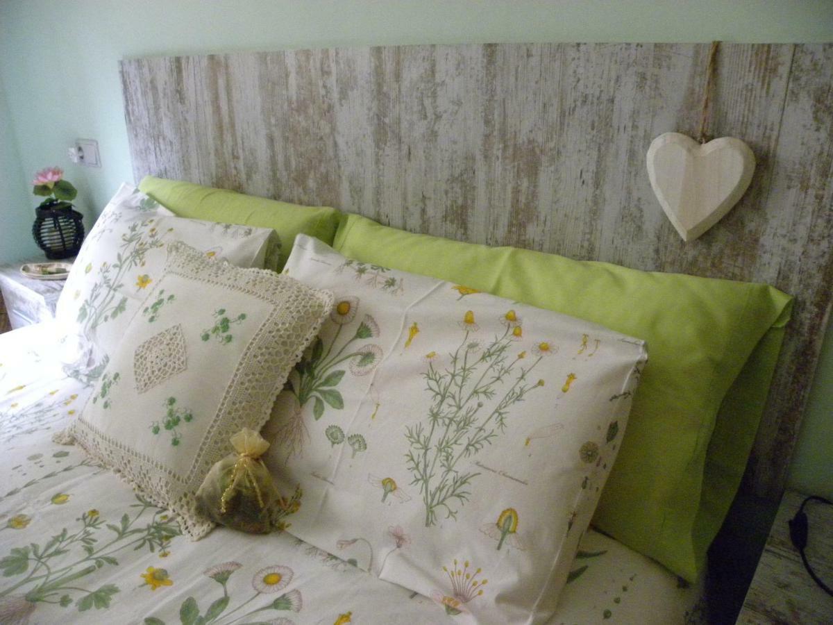 Apartment Cases Roses